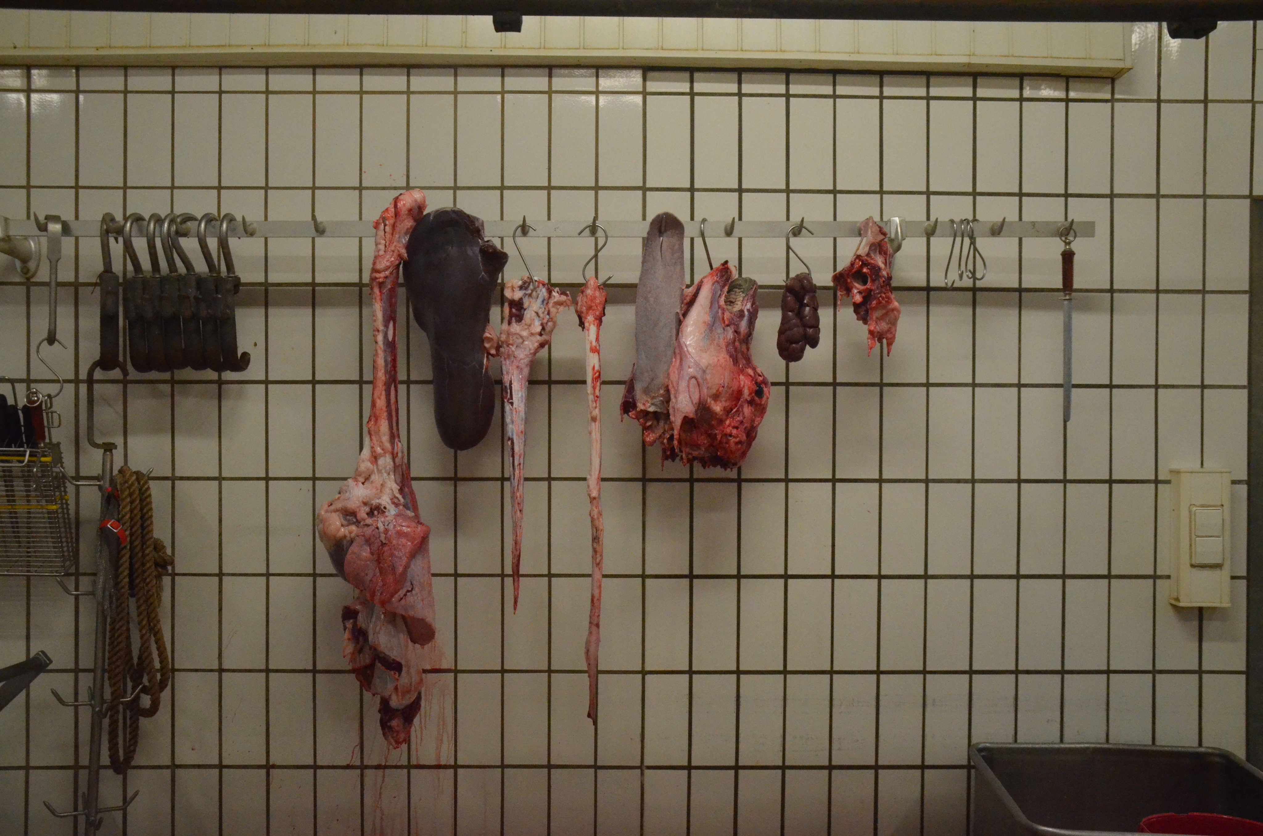 Innereien an einer Wand hängend